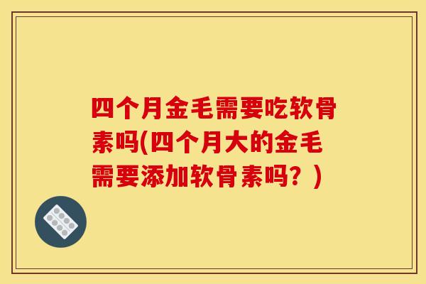 四个月金毛需要吃软骨素吗(四个月大的金毛需要添加软骨素吗？)