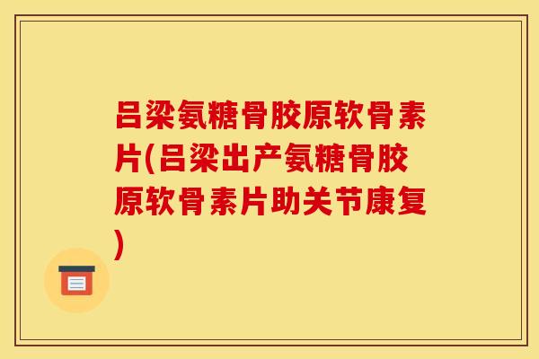 吕梁氨糖骨胶原软骨素片(吕梁出产氨糖骨胶原软骨素片助关节康复)