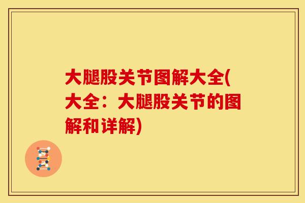 大腿股关节图解大全(大全：大腿股关节的图解和详解)
