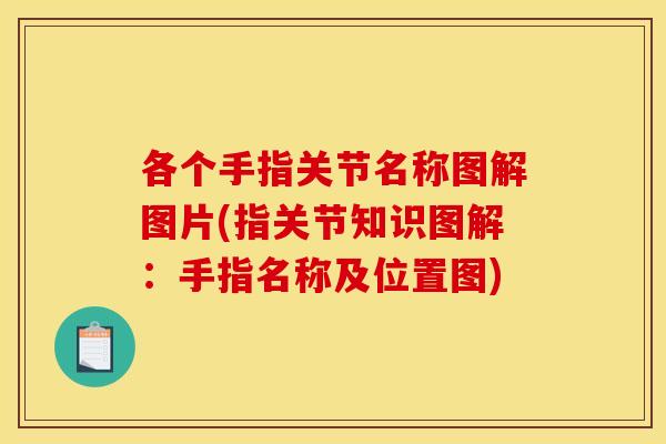 各个手指关节名称图解图片(指关节知识图解：手指名称及位置图)