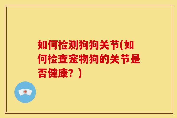 如何检测狗狗关节(如何检查宠物狗的关节是否健康？)