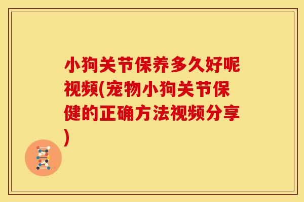 小狗关节保养多久好呢视频(宠物小狗关节保健的正确方法视频分享)