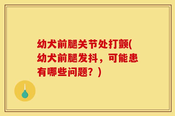 幼犬前腿关节处打颤(幼犬前腿发抖，可能患有哪些问题？)