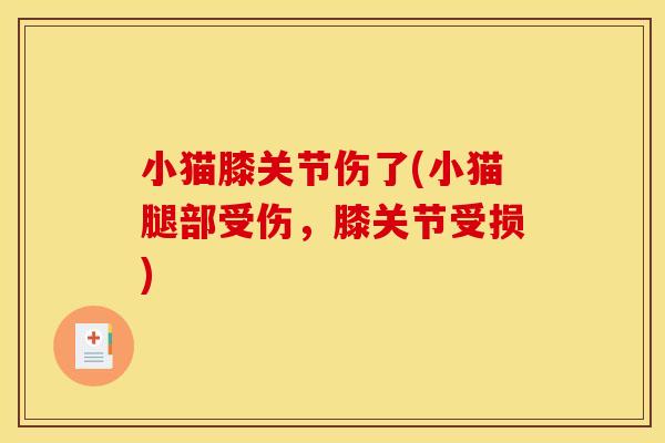 小猫膝关节伤了(小猫腿部受伤，膝关节受损)