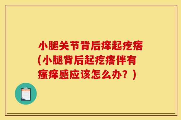 小腿关节背后痒起疙瘩(小腿背后起疙瘩伴有瘙痒感应该怎么办？)