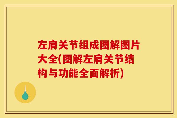 左肩关节组成图解图片大全(图解左肩关节结构与功能全面解析)