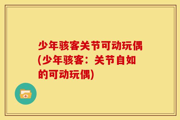 少年骇客关节可动玩偶(少年骇客：关节自如的可动玩偶)