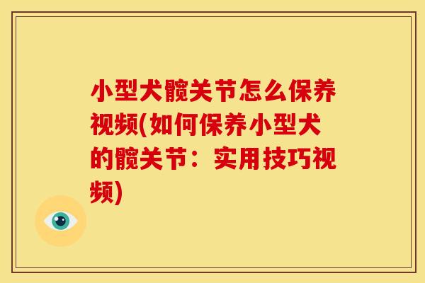小型犬髋关节怎么保养视频(如何保养小型犬的髋关节：实用技巧视频)