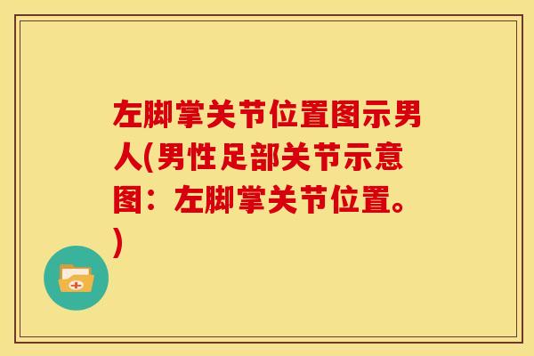 左脚掌关节位置图示男人(男性足部关节示意图：左脚掌关节位置。)