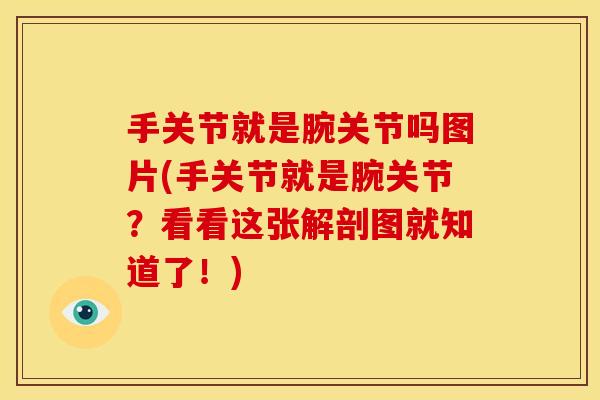 手关节就是腕关节吗图片(手关节就是腕关节？看看这张解剖图就知道了！)
