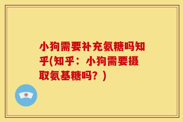 小狗需要补充氨糖吗知乎(知乎：小狗需要摄取氨基糖吗？)