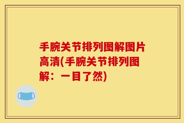 手腕关节排列图解图片高清(手腕关节排列图解：一目了然)