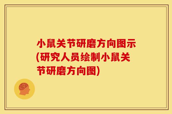 小鼠关节研磨方向图示(研究人员绘制小鼠关节研磨方向图)