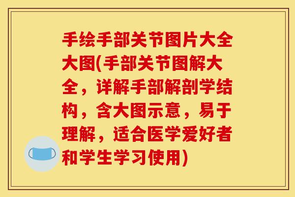 手绘手部关节图片大全大图(手部关节图解大全，详解手部解剖学结构，含大图示意，易于理解，适合医学爱好者和学生学习使用)
