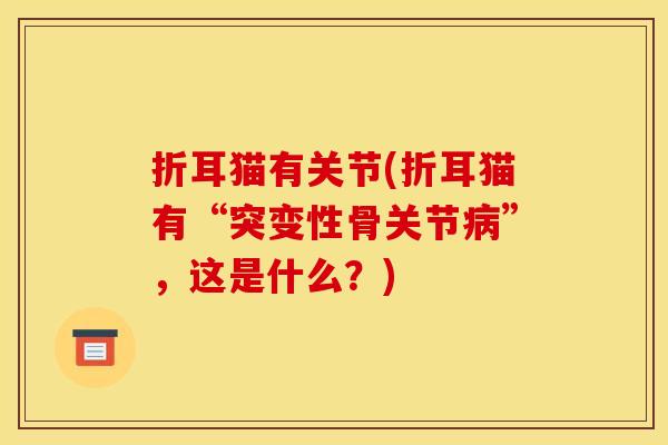 折耳猫有关节(折耳猫有“突变性骨关节病”，这是什么？)