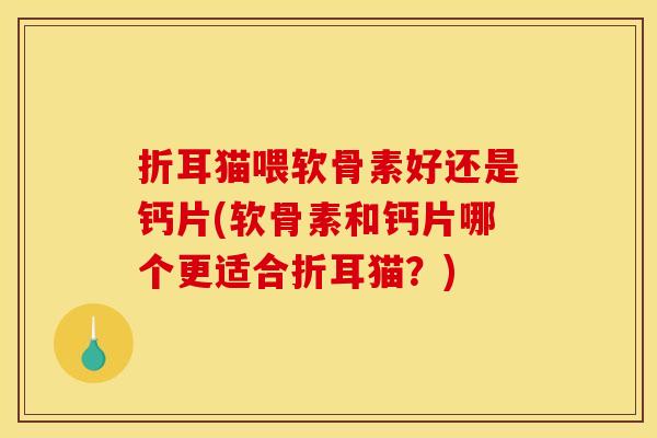 折耳猫喂软骨素好还是钙片(软骨素和钙片哪个更适合折耳猫？)