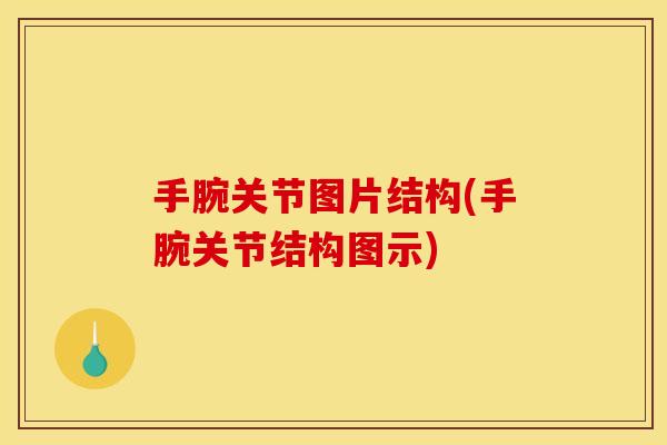 手腕关节图片结构(手腕关节结构图示)
