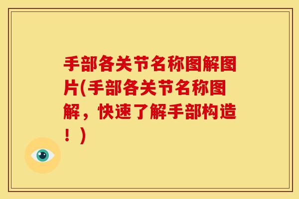 手部各关节名称图解图片(手部各关节名称图解，快速了解手部构造！)