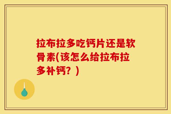 拉布拉多吃钙片还是软骨素(该怎么给拉布拉多补钙？)