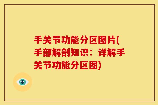 手关节功能分区图片(手部解剖知识：详解手关节功能分区图)