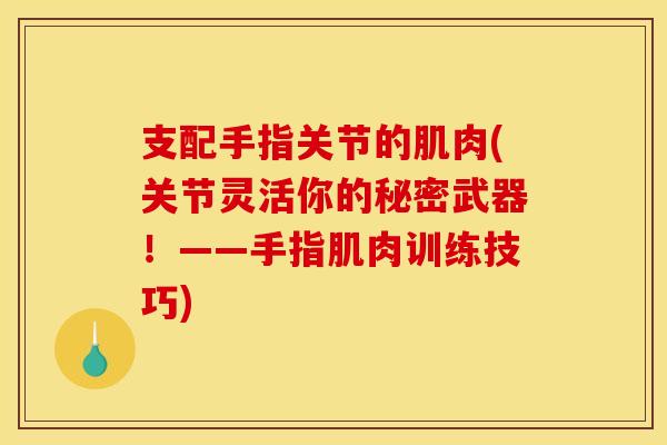 支配手指关节的肌肉(关节灵活你的秘密武器！——手指肌肉训练技巧)