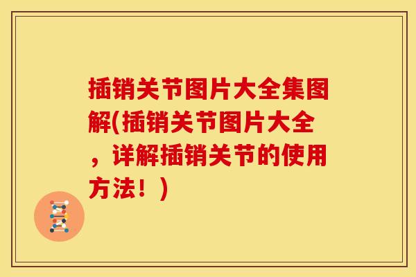 插销关节图片大全集图解(插销关节图片大全，详解插销关节的使用方法！)