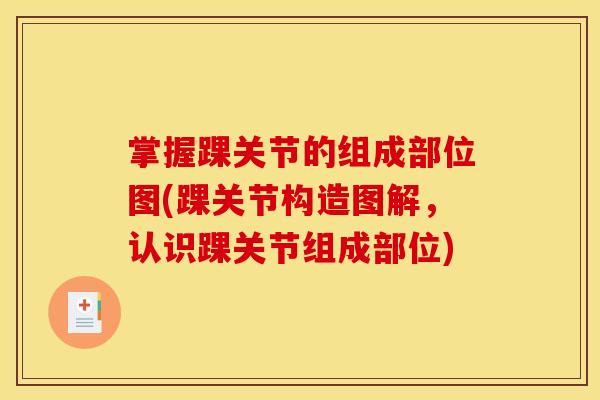 掌握踝关节的组成部位图(踝关节构造图解，认识踝关节组成部位)