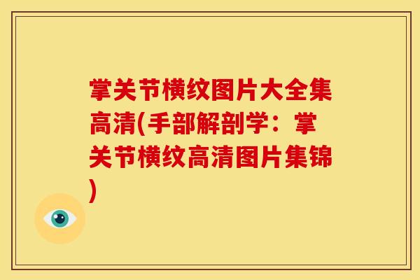 掌关节横纹图片大全集高清(手部解剖学：掌关节横纹高清图片集锦)