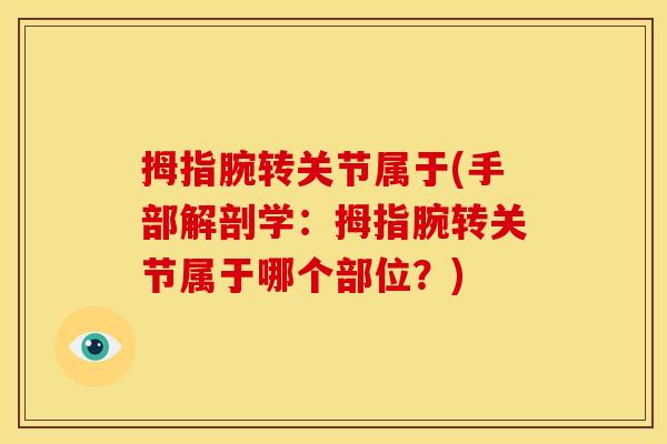 拇指腕转关节属于(手部解剖学：拇指腕转关节属于哪个部位？)