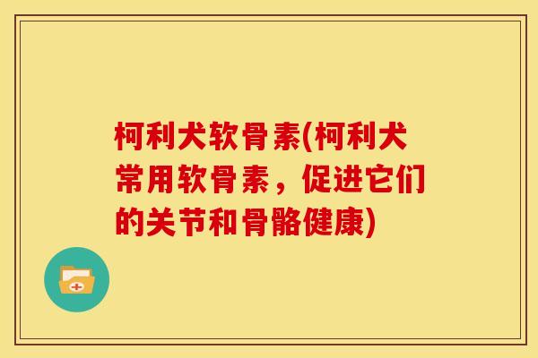 柯利犬软骨素(柯利犬常用软骨素，促进它们的关节和骨骼健康)