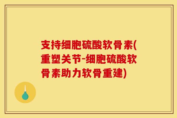 支持细胞硫酸软骨素(重塑关节-细胞硫酸软骨素助力软骨重建)