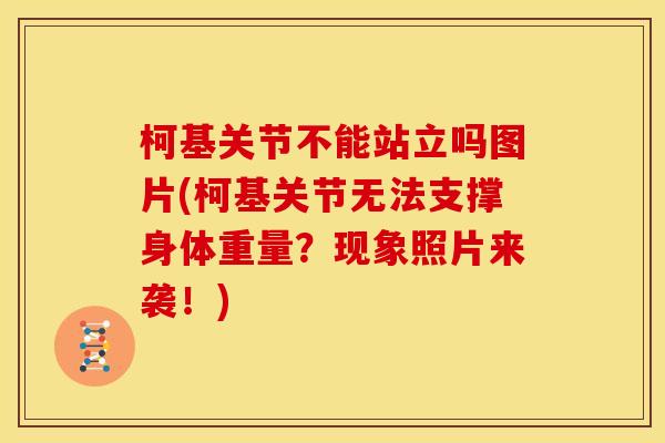 柯基关节不能站立吗图片(柯基关节无法支撑身体重量？现象照片来袭！)