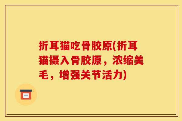 折耳猫吃骨胶原(折耳猫摄入骨胶原，浓缩美毛，增强关节活力)