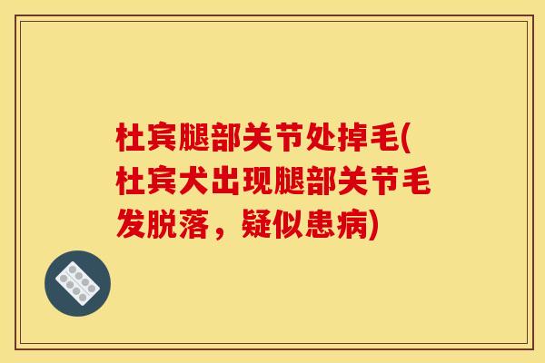 杜宾腿部关节处掉毛(杜宾犬出现腿部关节毛发脱落，疑似患病)