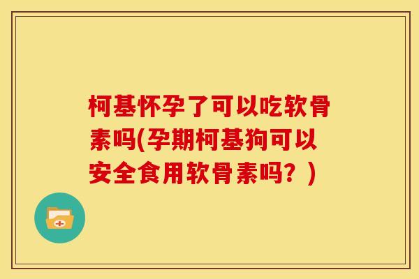 柯基怀孕了可以吃软骨素吗(孕期柯基狗可以安全食用软骨素吗？)
