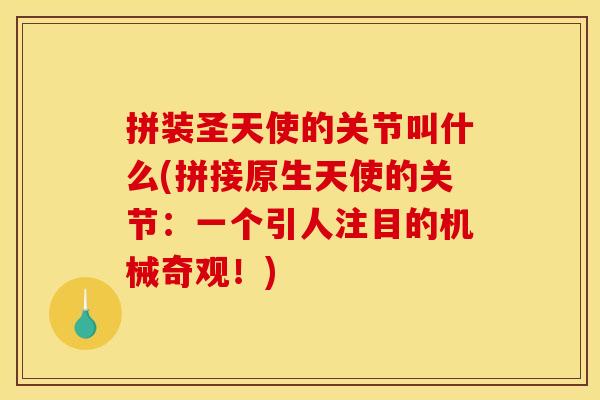 拼装圣天使的关节叫什么(拼接原生天使的关节：一个引人注目的机械奇观！)