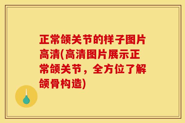正常颌关节的样子图片高清(高清图片展示正常颌关节，全方位了解颌骨构造)