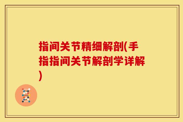 指间关节精细解剖(手指指间关节解剖学详解)