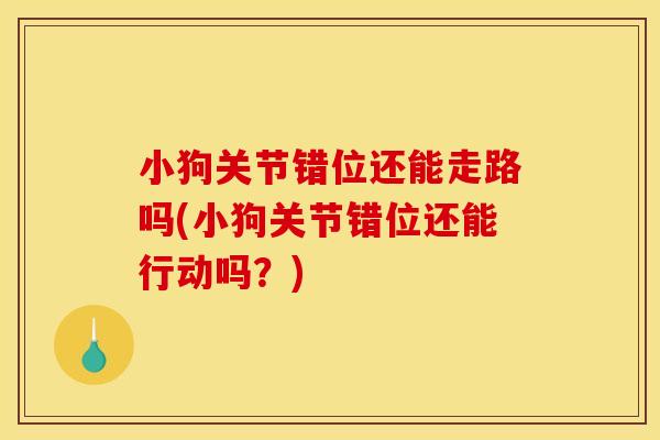 小狗关节错位还能走路吗(小狗关节错位还能行动吗？)