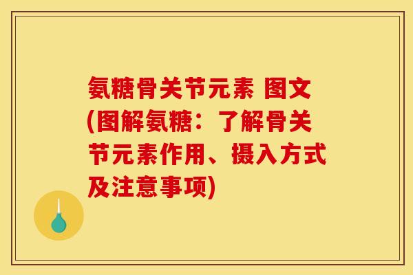 氨糖骨关节元素 图文(图解氨糖：了解骨关节元素作用、摄入方式及注意事项)
