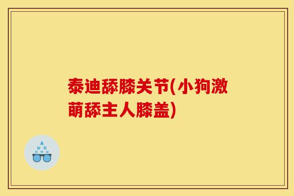 泰迪舔膝关节(小狗激萌舔主人膝盖)