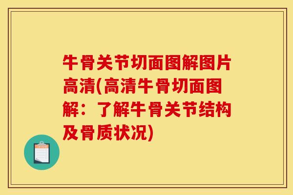牛骨关节切面图解图片高清(高清牛骨切面图解：了解牛骨关节结构及骨质状况)