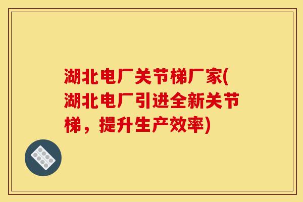 湖北电厂关节梯厂家(湖北电厂引进全新关节梯，提升生产效率)