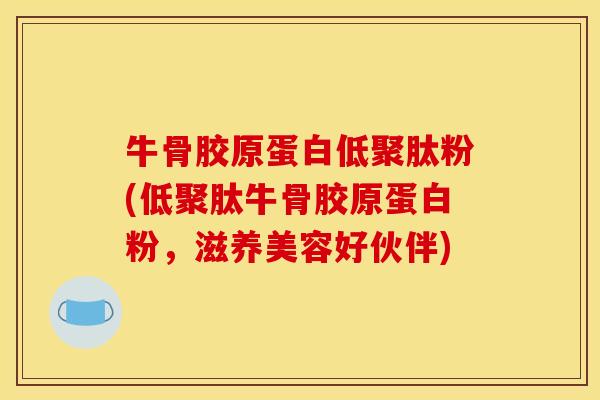 牛骨胶原蛋白低聚肽粉(低聚肽牛骨胶原蛋白粉，滋养美容好伙伴)