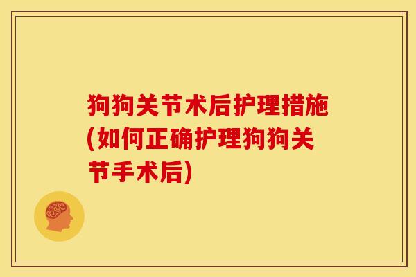 狗狗关节术后护理措施(如何正确护理狗狗关节手术后)
