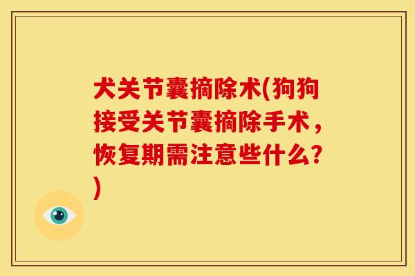 犬关节囊摘除术(狗狗接受关节囊摘除手术，恢复期需注意些什么？)
