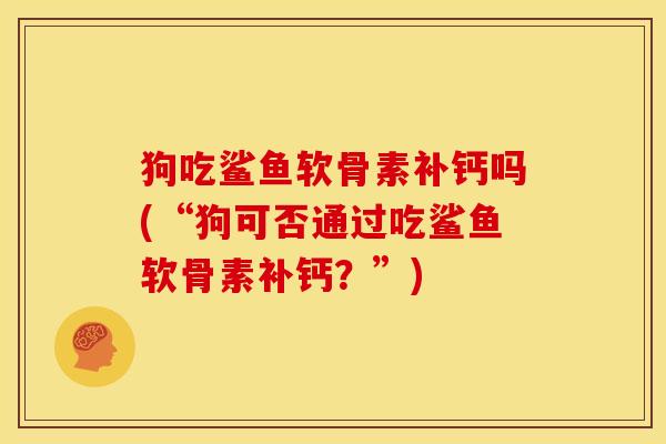 狗吃鲨鱼软骨素补钙吗(“狗可否通过吃鲨鱼软骨素补钙？”)