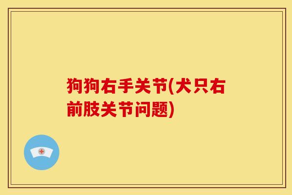 狗狗右手关节(犬只右前肢关节问题)
