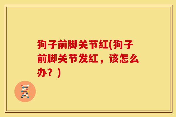 狗子前脚关节红(狗子前脚关节发红，该怎么办？)