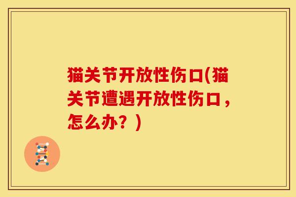 猫关节开放性伤口(猫关节遭遇开放性伤口，怎么办？)